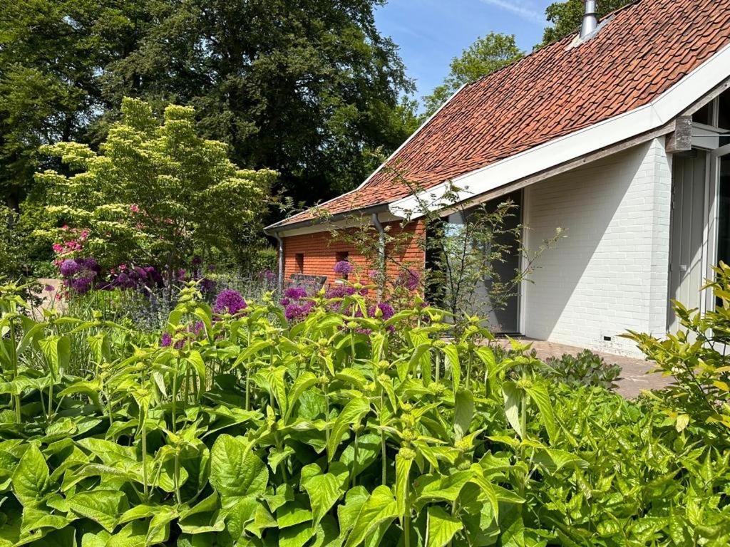 Haystackcottage Paterswolde Exterior foto