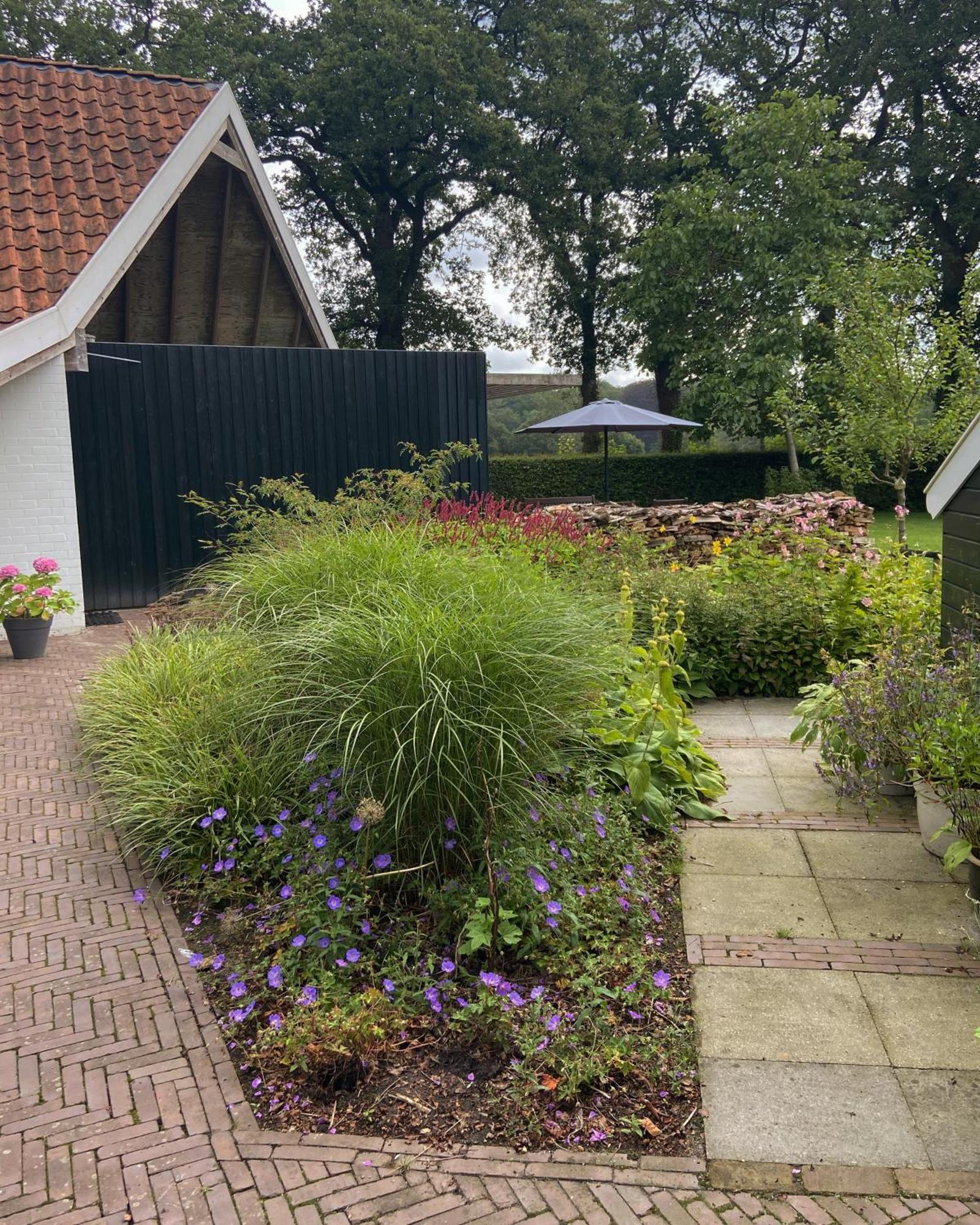 Haystackcottage Paterswolde Exterior foto